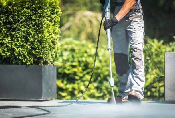 Best Gutter Cleaning and Brightening in Middleport, NY