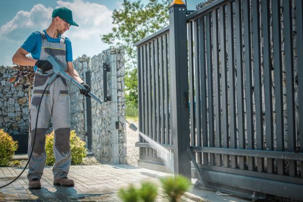 Best Roof Cleaning and Mildew Removal in Middleport, NY